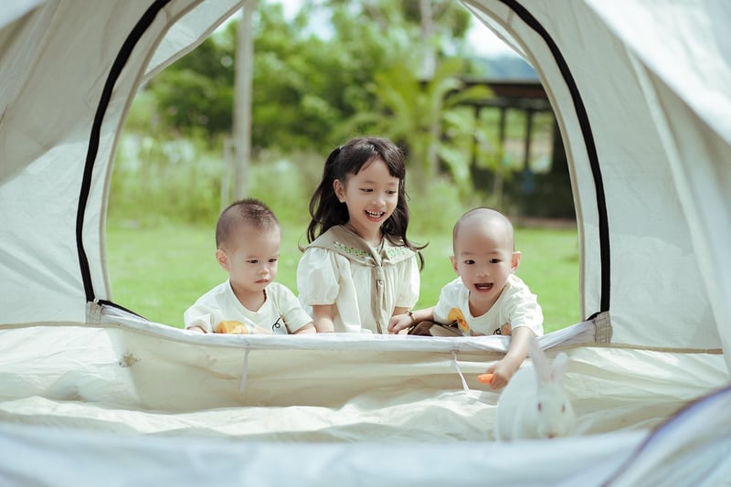 Forest Camping